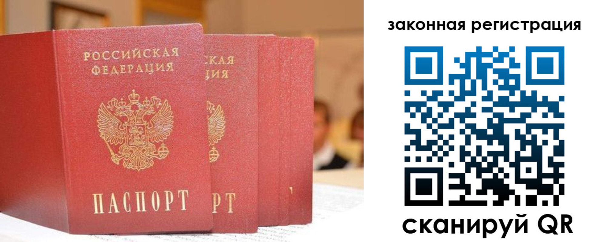 прописка поиск в Липецкая области